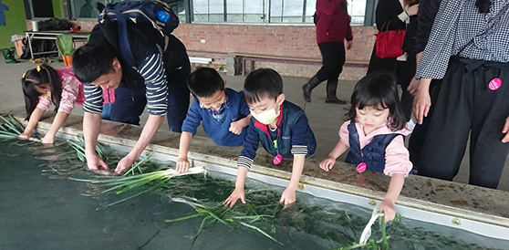 三星葱农夫体验